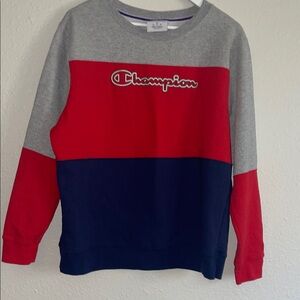 Champion Men's Color Block Crewneck Sweater - Red, Gray, Blue